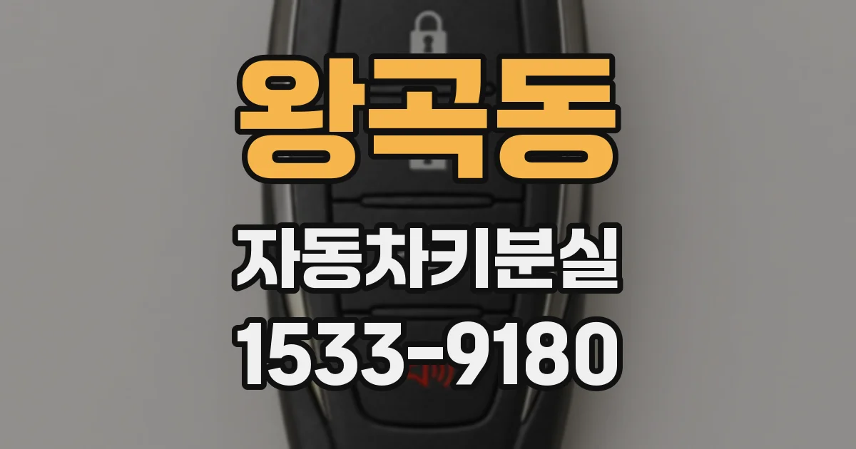 왕곡동 자동차키분실