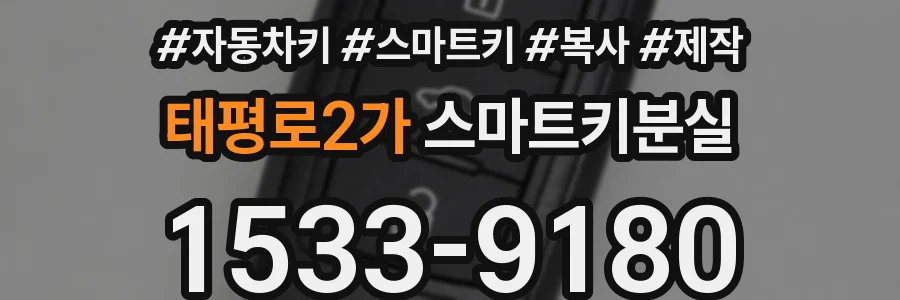 태평로2가 스마트키분실