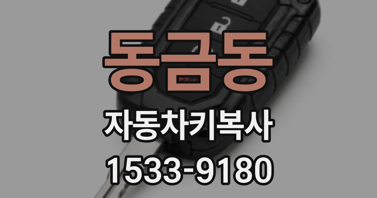 동금동 자동차키복사