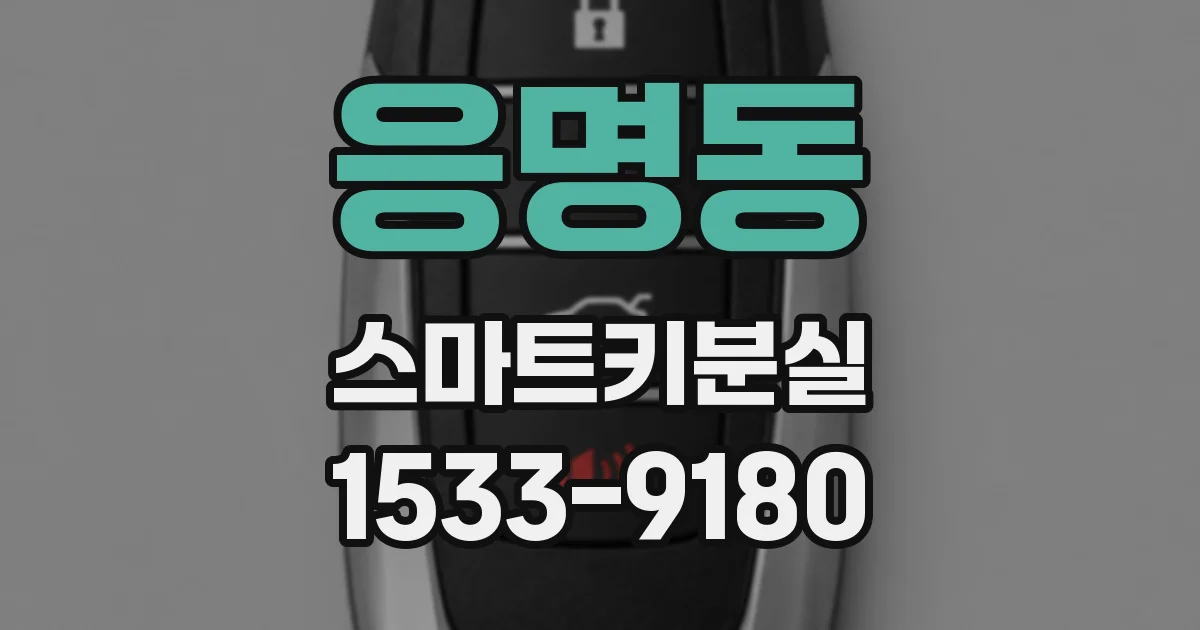 응명동 스마트키분실