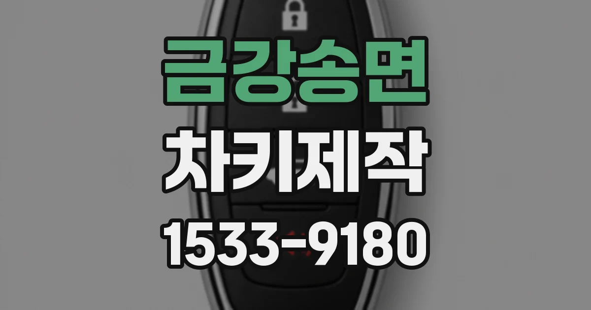 금강송면 차키제작