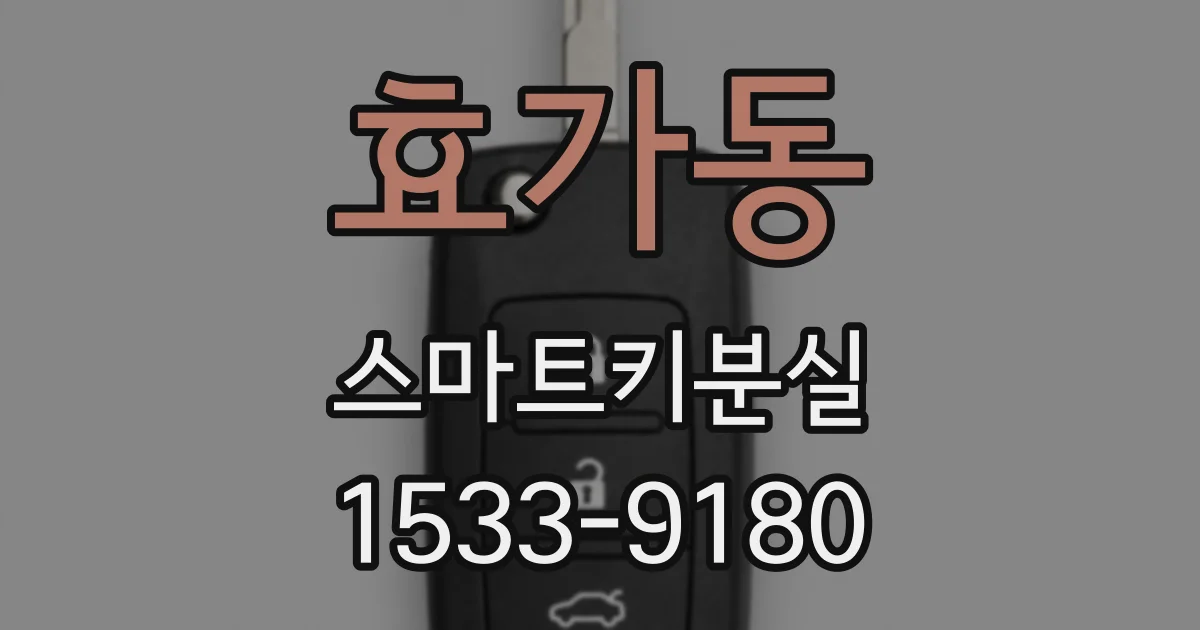 효가동 스마트키분실