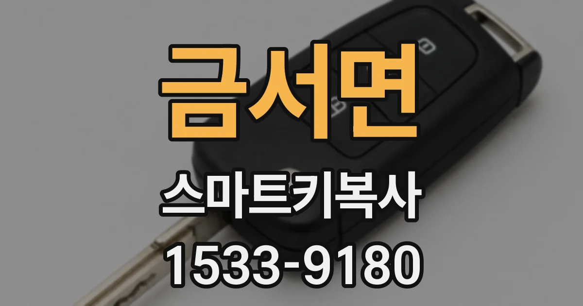 금서면 스마트키복사