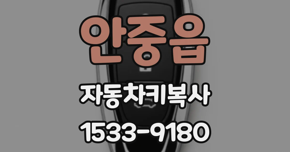 안중읍 자동차키복사