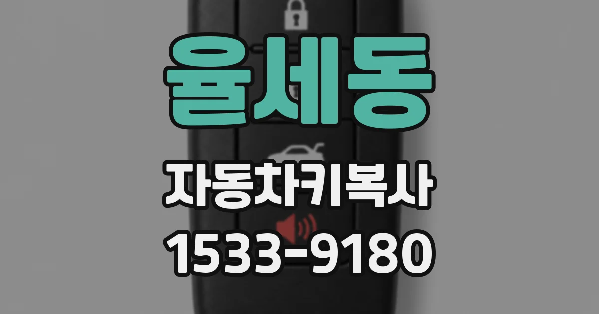 율세동 자동차키복사