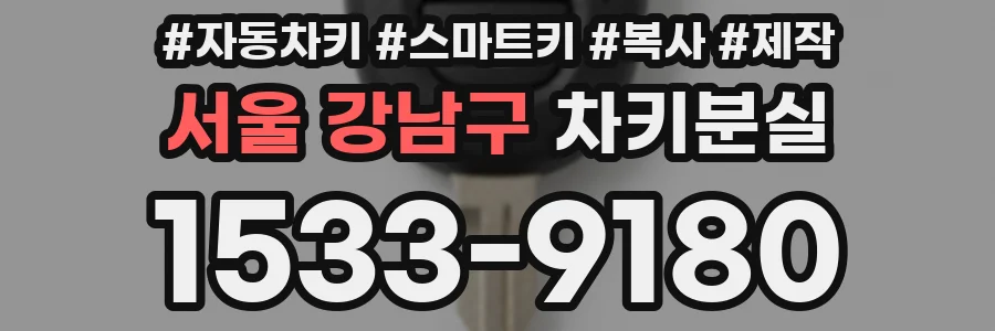 서울 강남구 차키분실