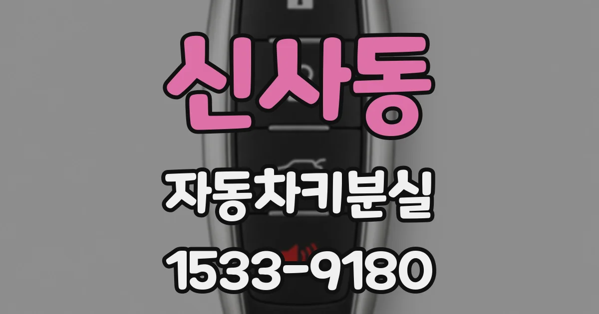 신사동 자동차키분실
