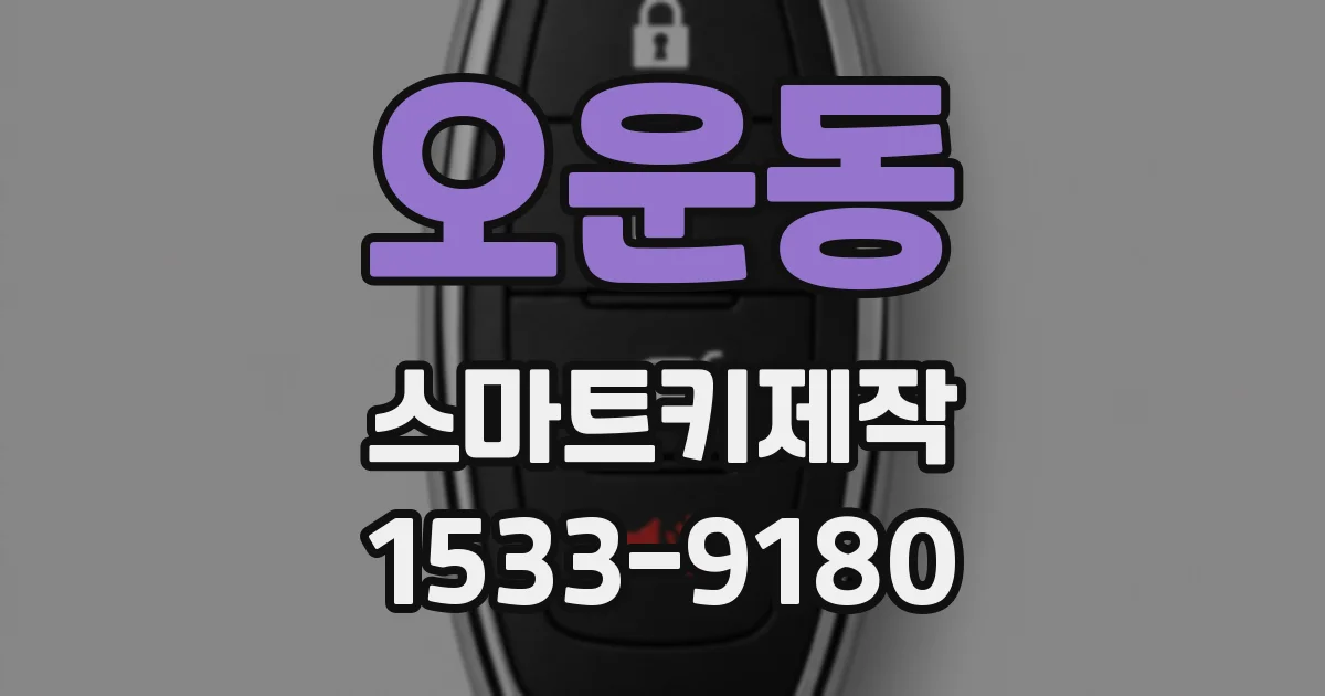오운동 스마트키제작