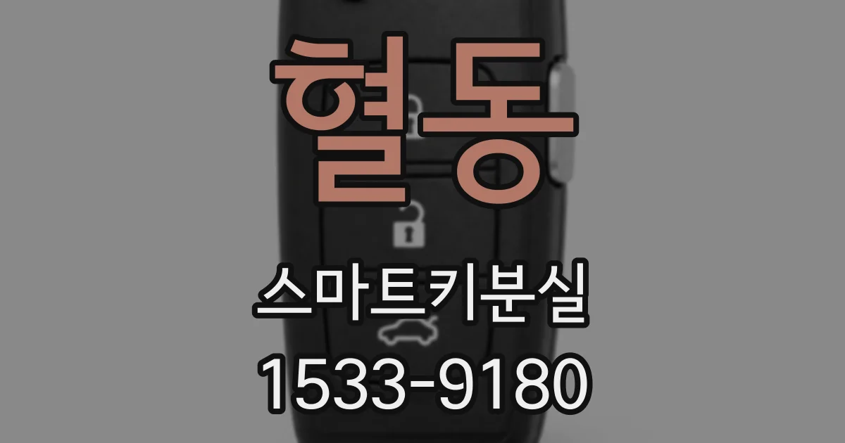 혈동 스마트키분실