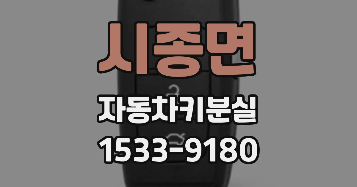 시종면 자동차키분실