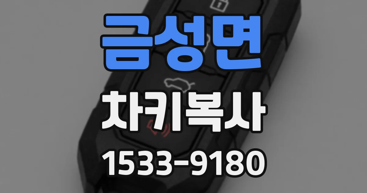 금성면 차키복사