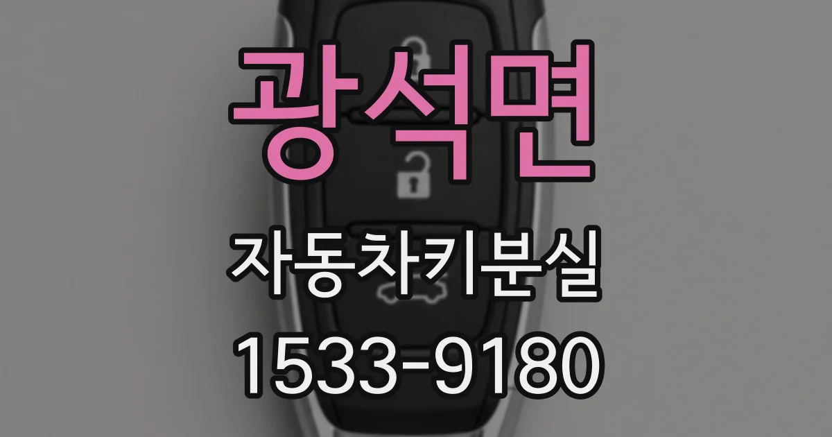 광석면 자동차키분실
