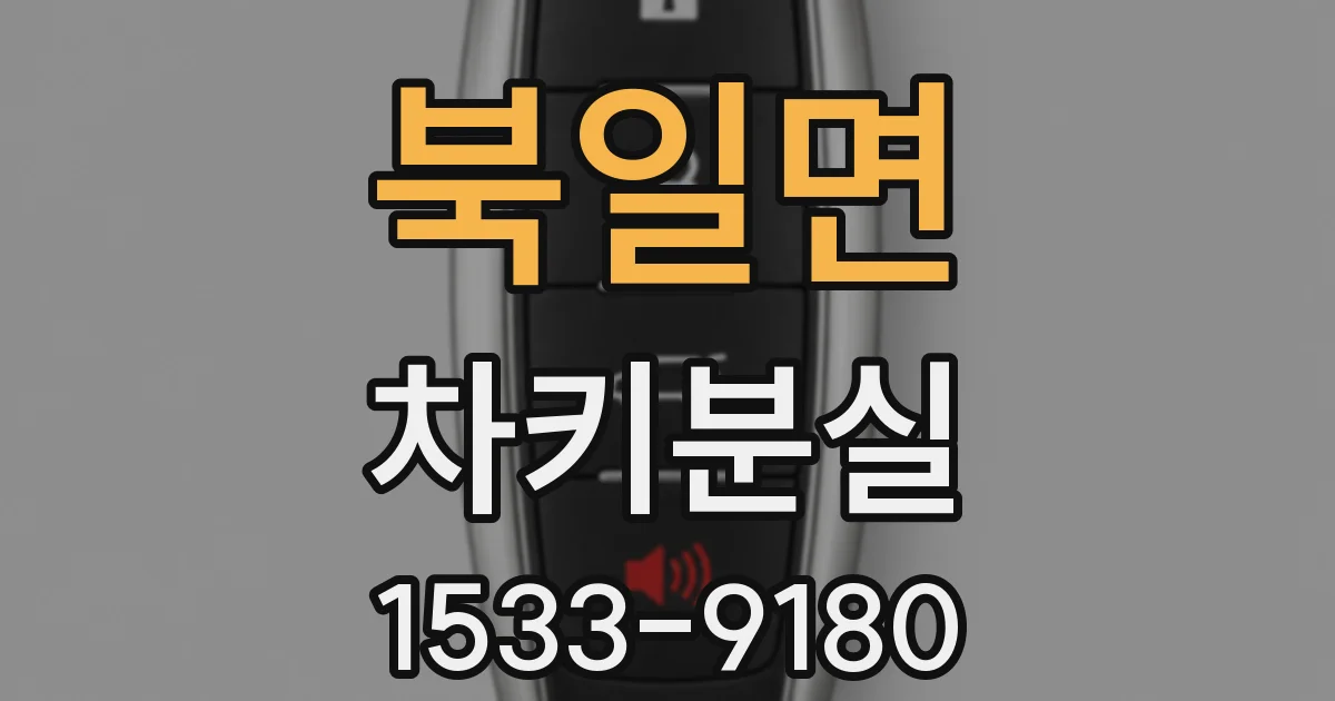 북일면 차키분실