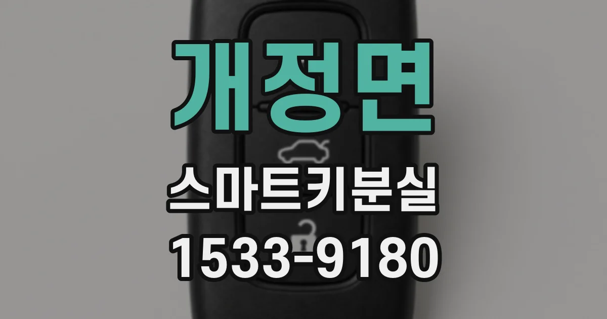 개정면 스마트키분실