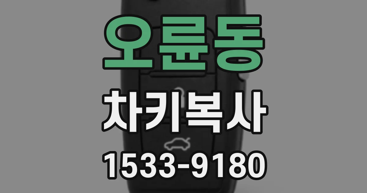 오륜동 차키복사