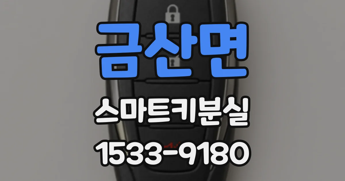 금산면 스마트키분실