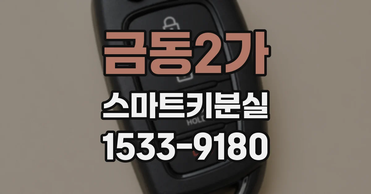 금동2가 스마트키분실