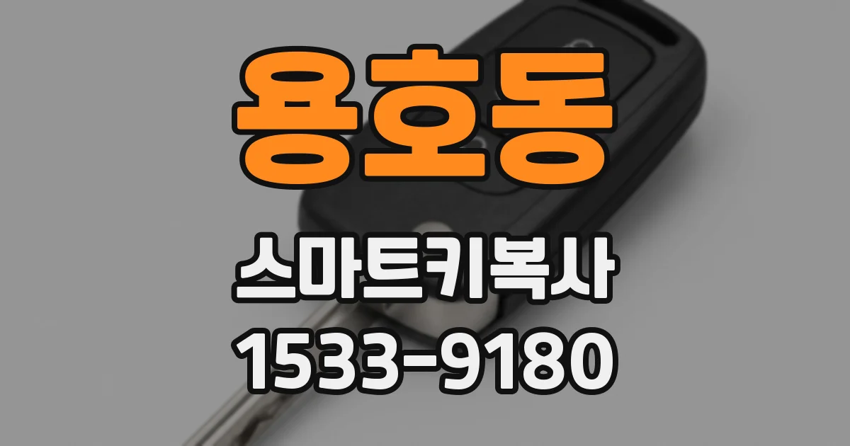 용호동 스마트키복사