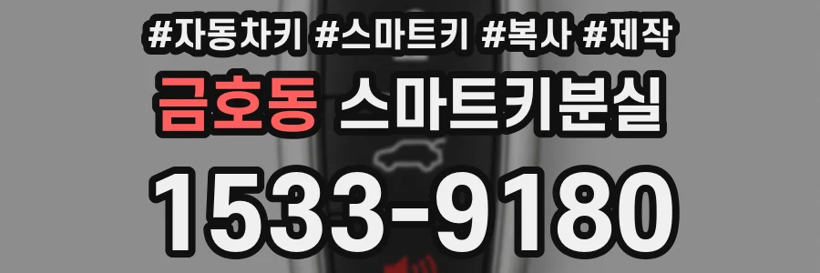 금호동 스마트키분실