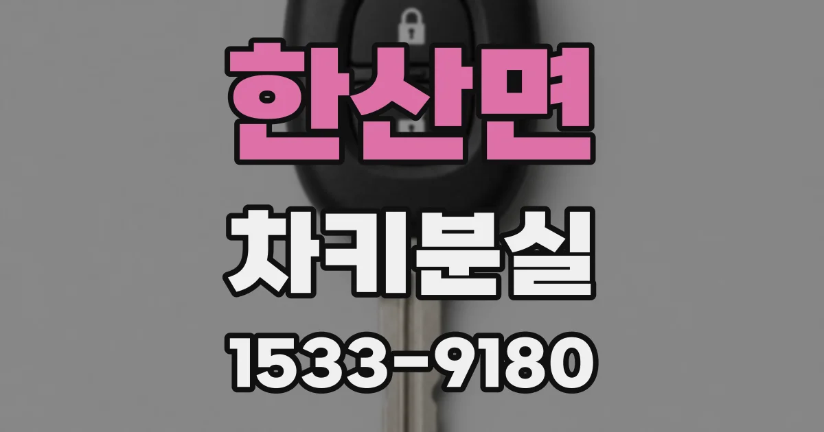 한산면 차키분실