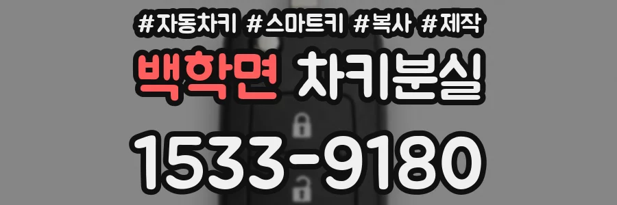 백학면 차키분실