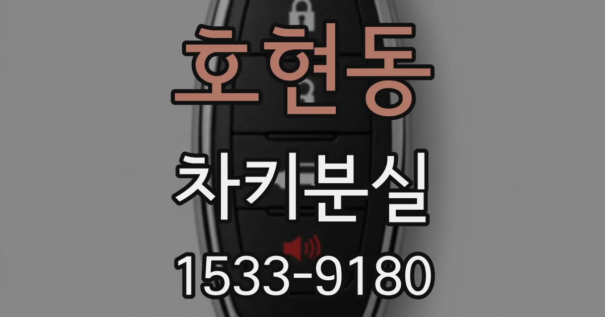 호현동 차키분실