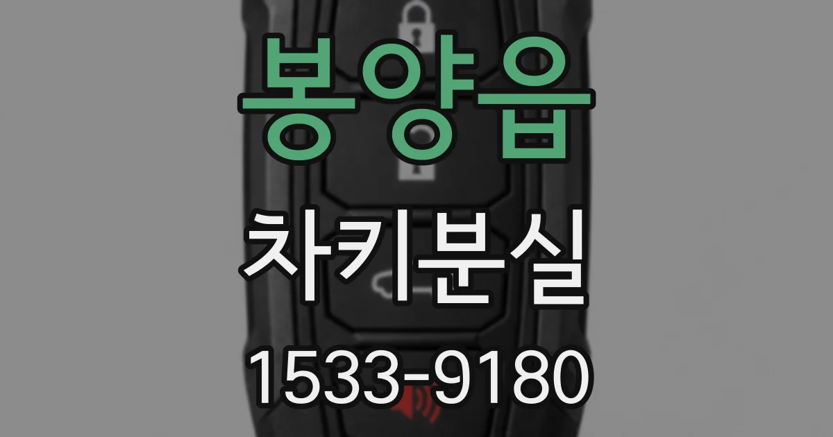 봉양읍 차키분실