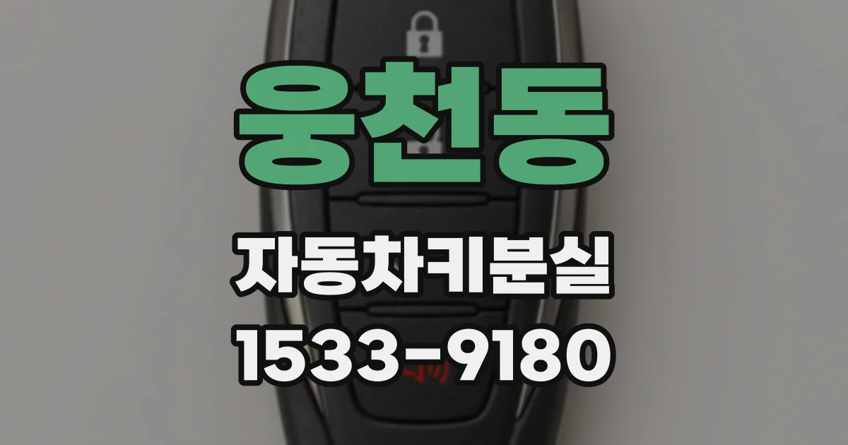웅천동 자동차키분실