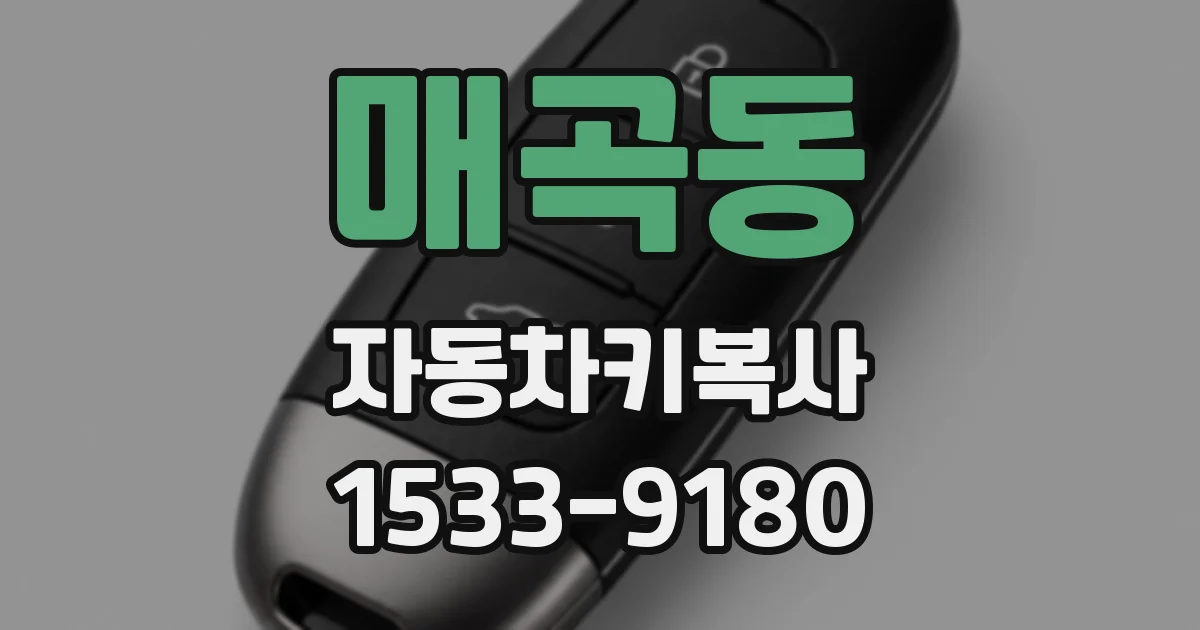 매곡동 자동차키복사