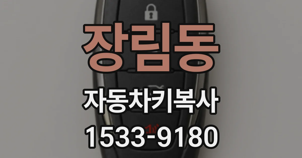 장림동 자동차키복사