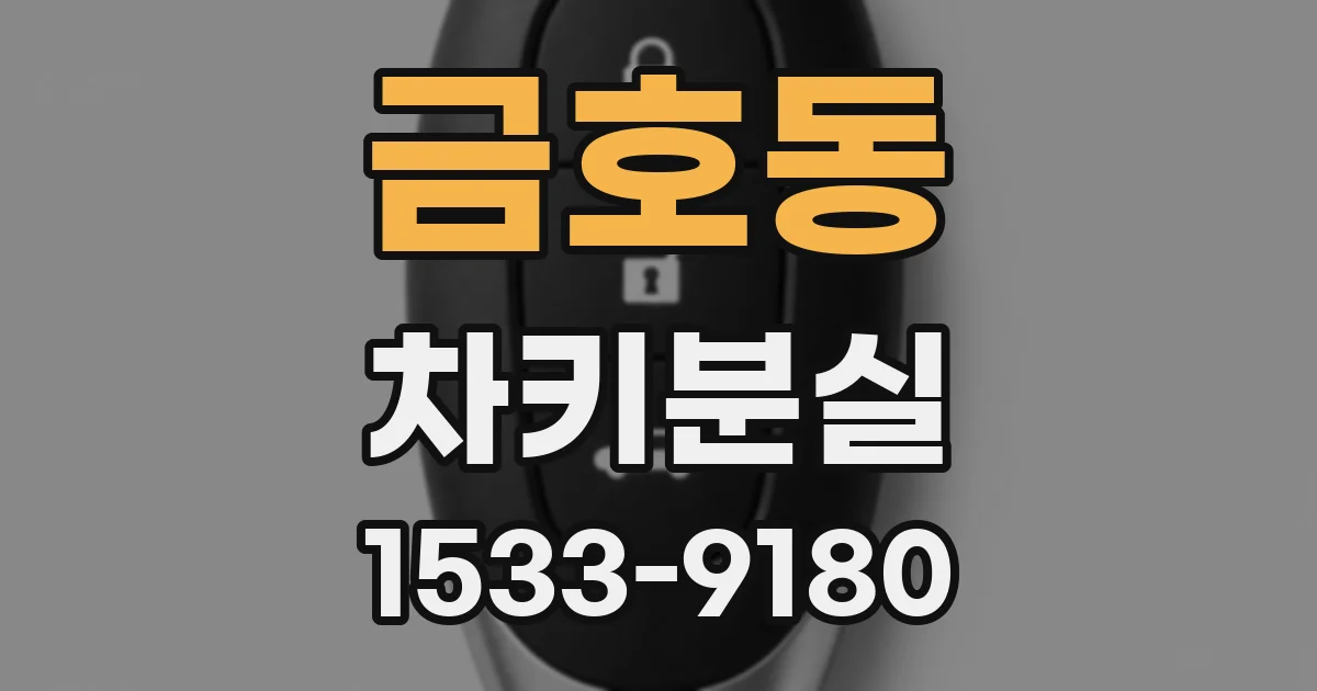 금호동 차키분실