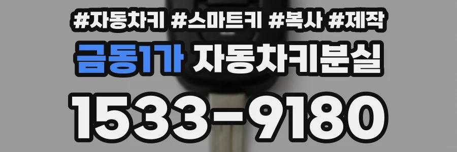 금동1가 자동차키분실