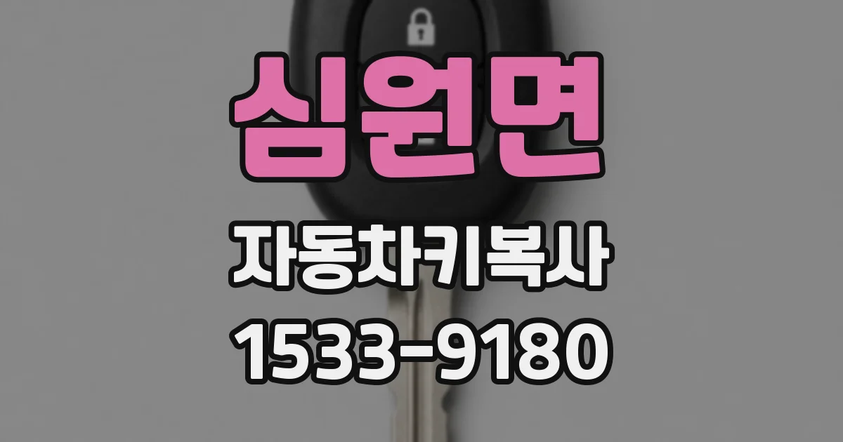 심원면 자동차키복사