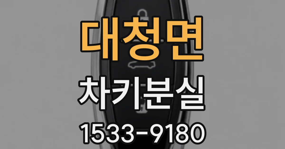 대청면 차키분실