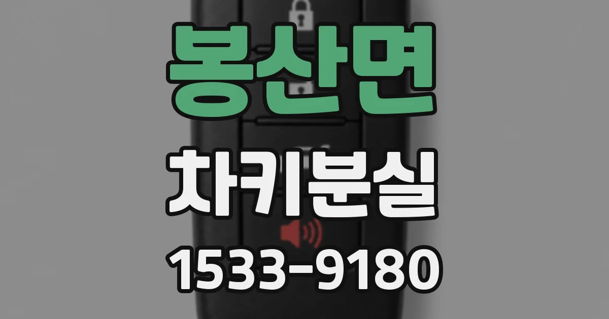 봉산면 차키분실