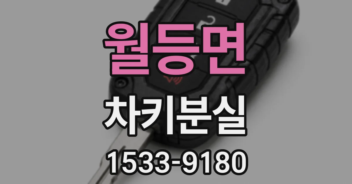 월등면 차키분실