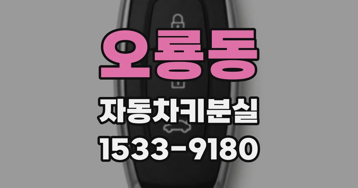 오룡동 자동차키분실