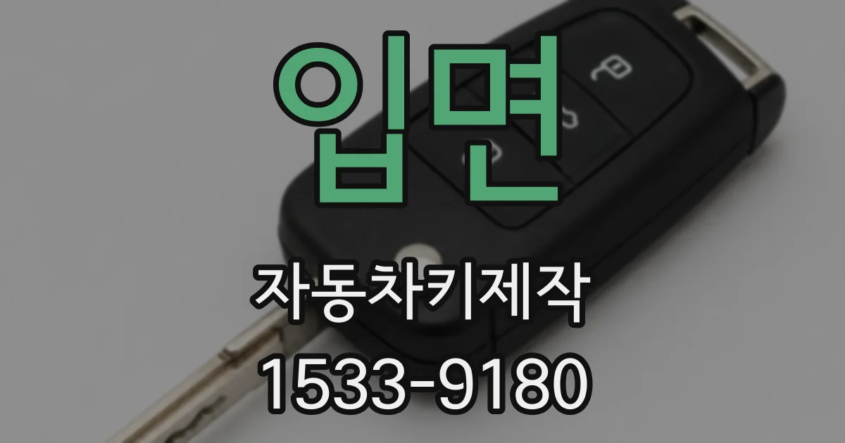 입면 자동차키제작