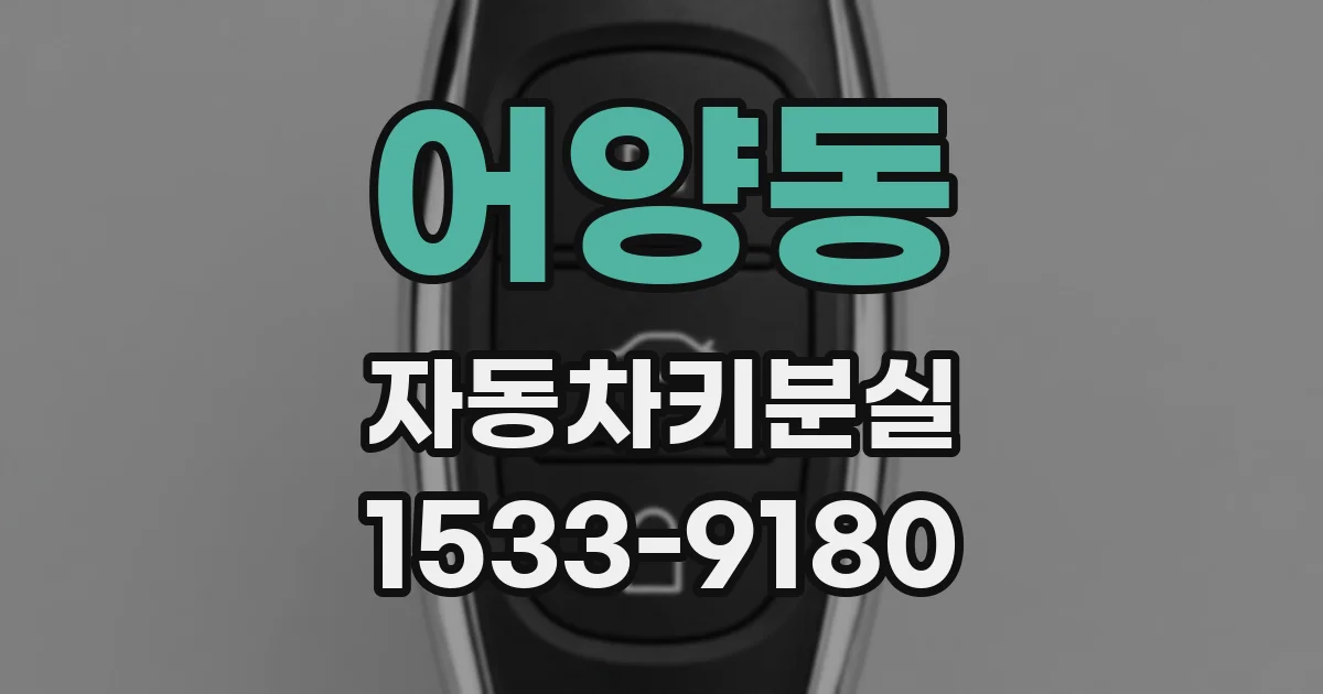 어양동 자동차키분실