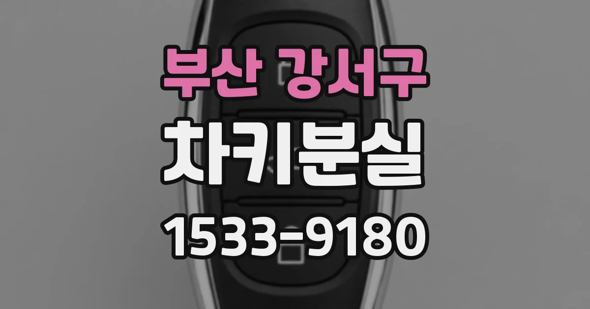 부산 강서구 차키분실