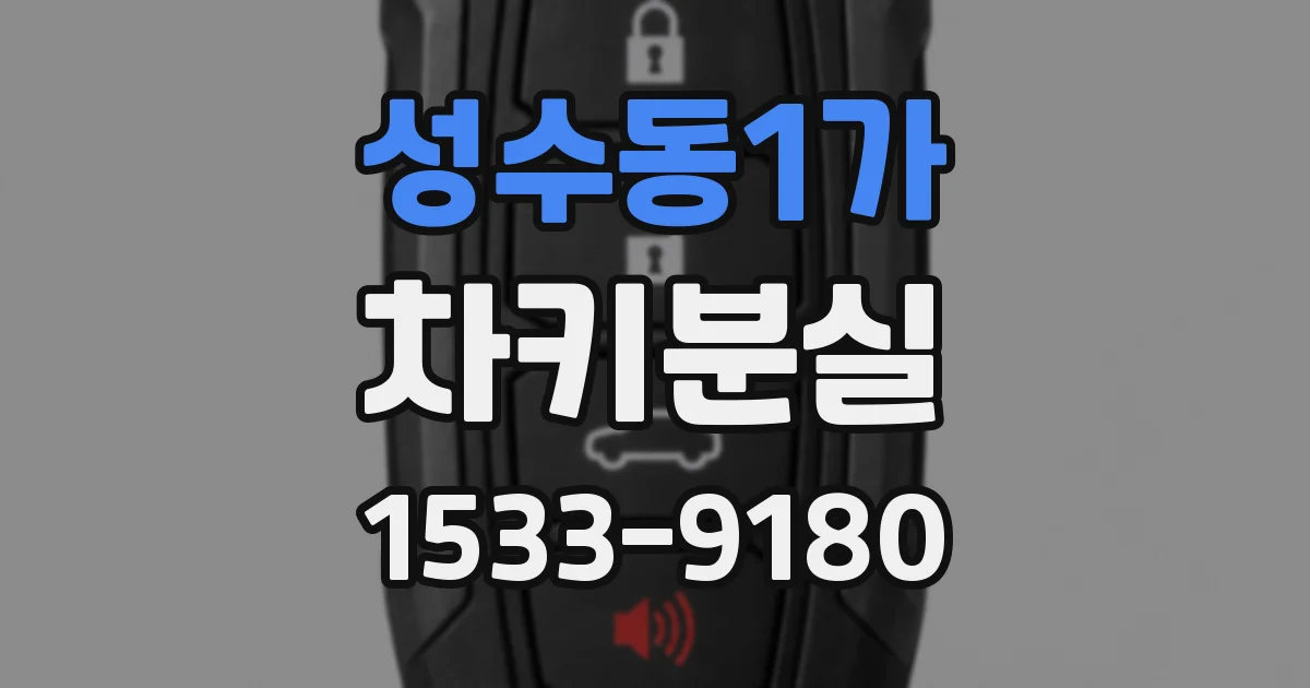 성수동1가 차키분실