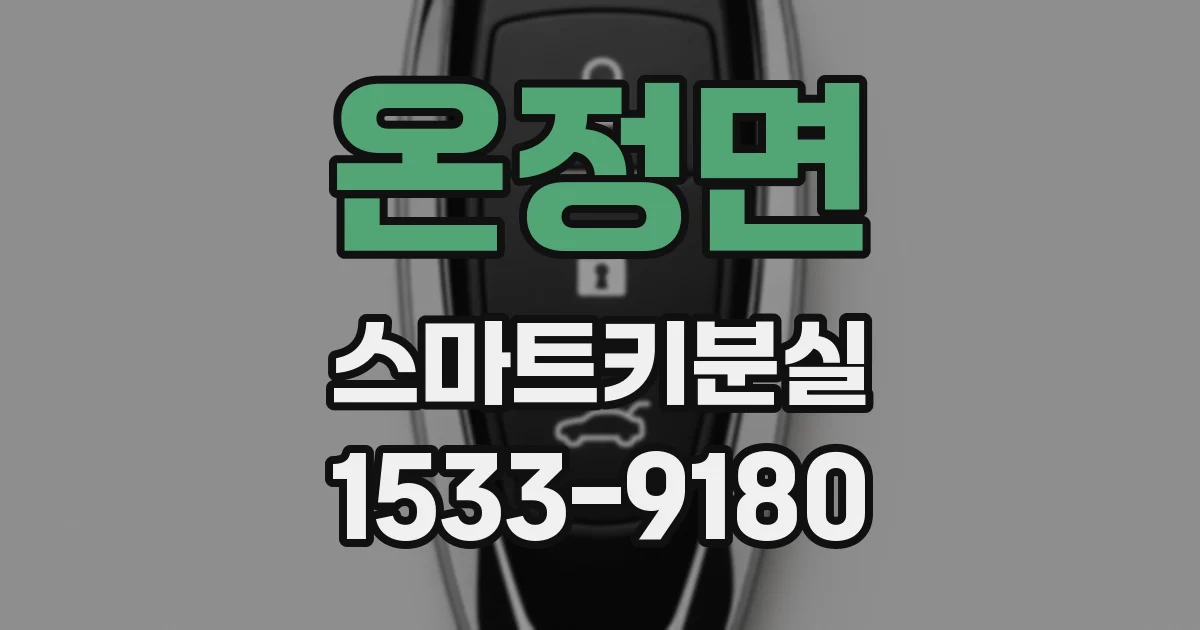 온정면 스마트키분실