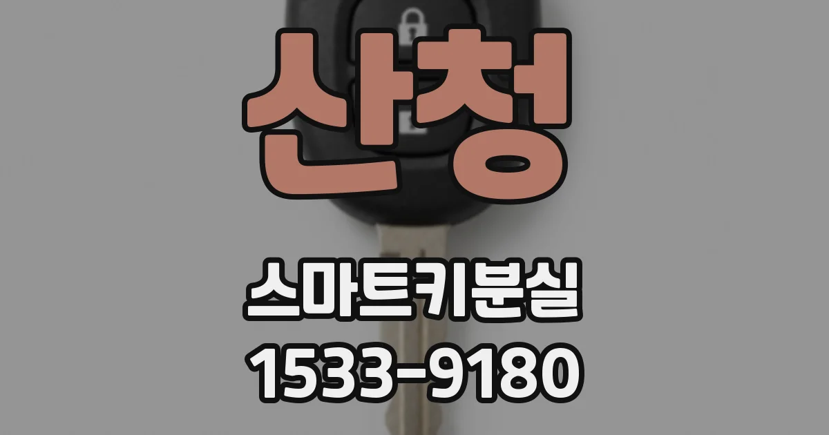 산청 스마트키분실