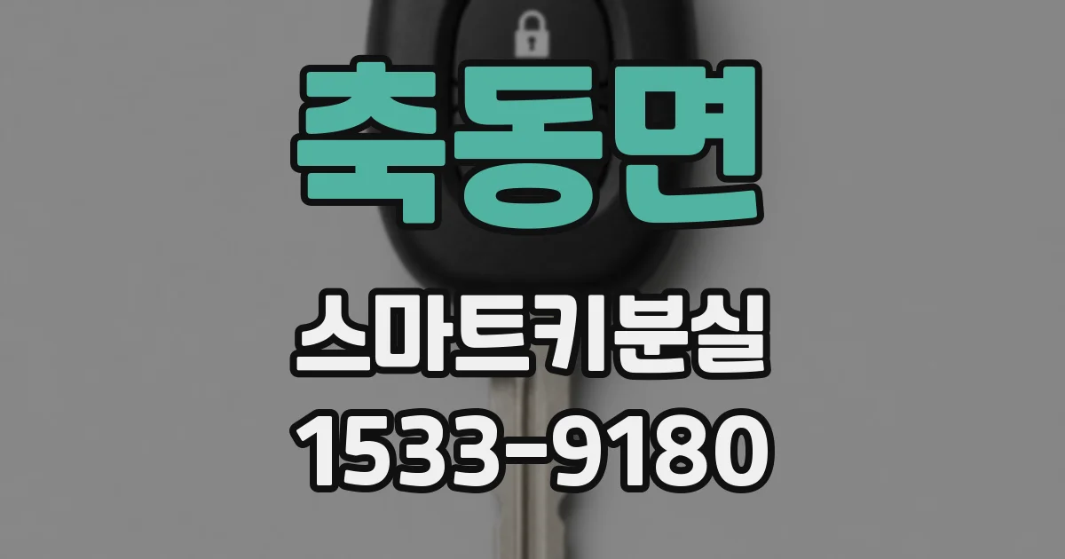 축동면 스마트키분실