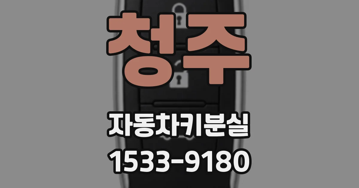 청주 자동차키분실