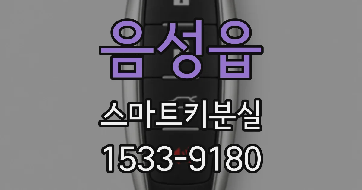 음성읍 스마트키분실