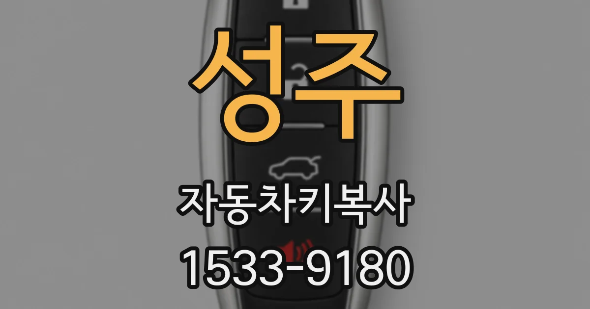 성주 자동차키복사