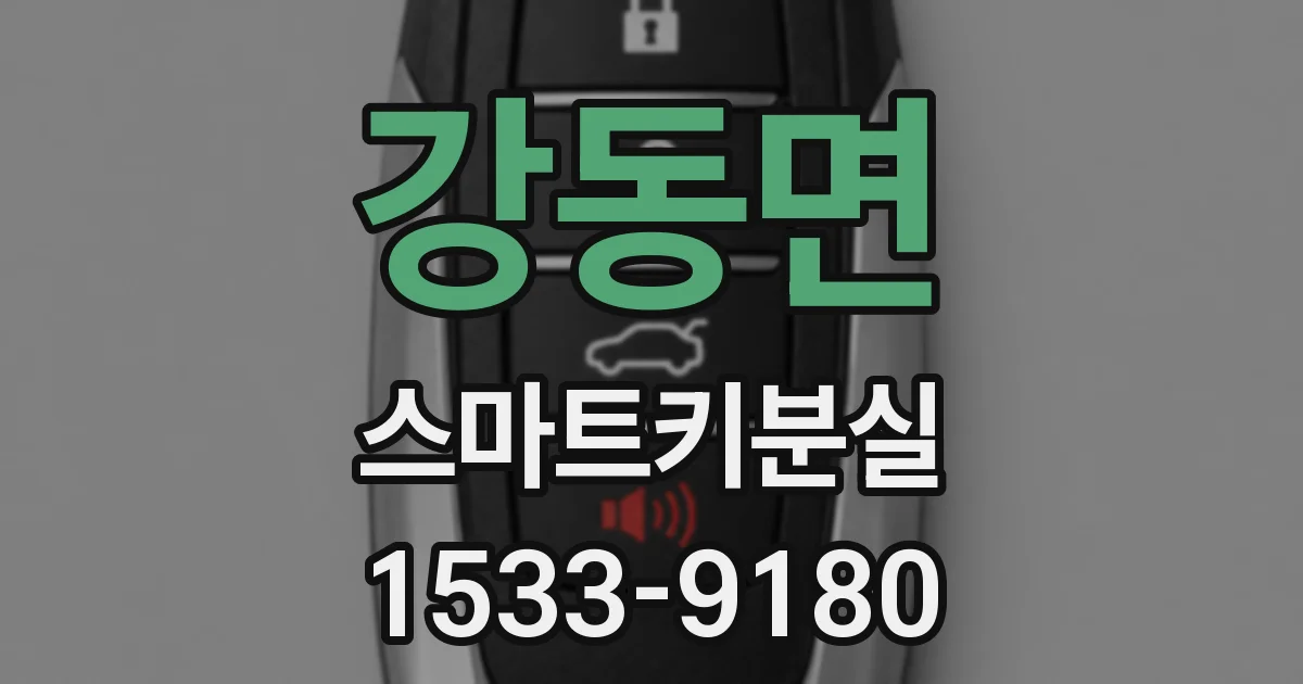 강동면 스마트키분실