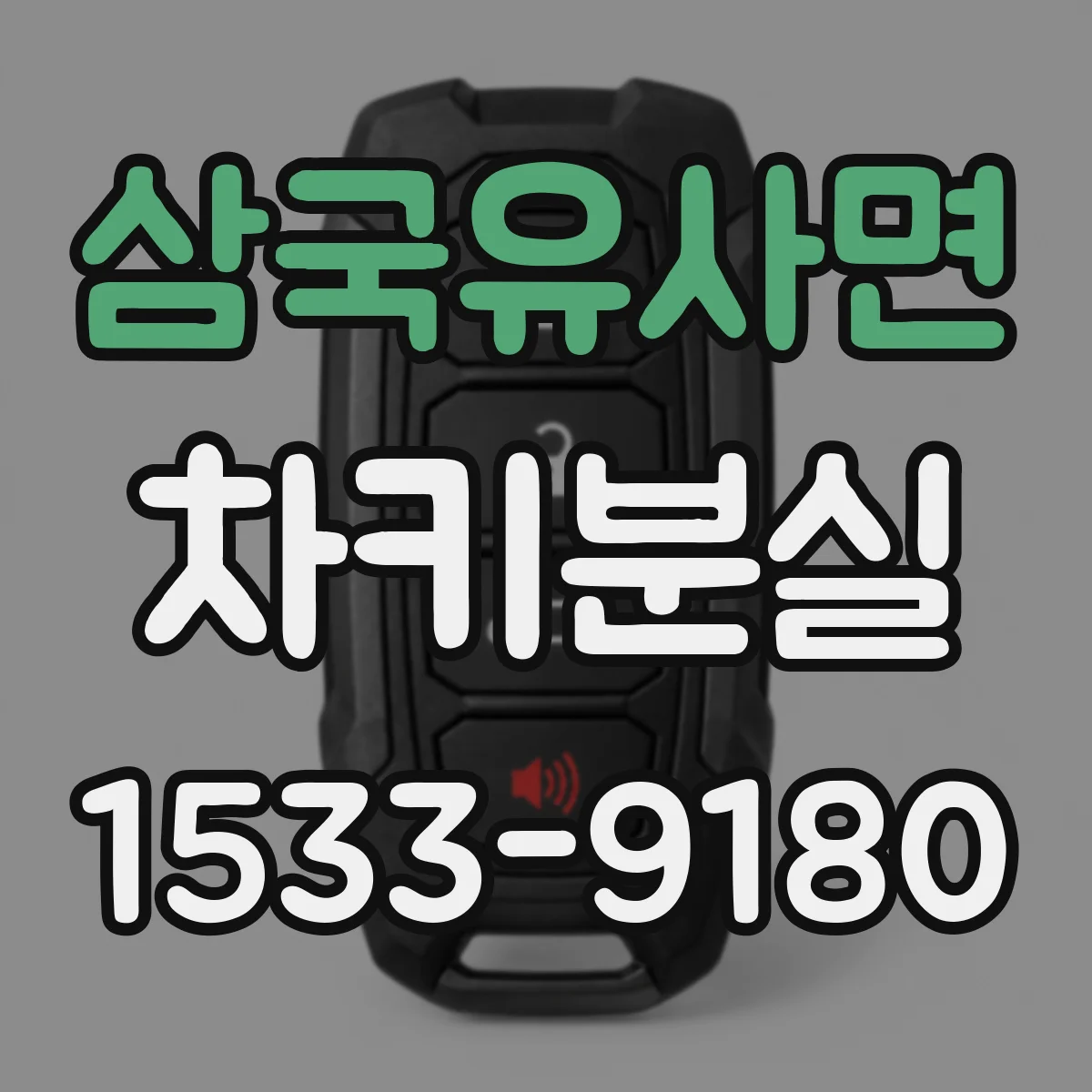 삼국유사면 차키분실