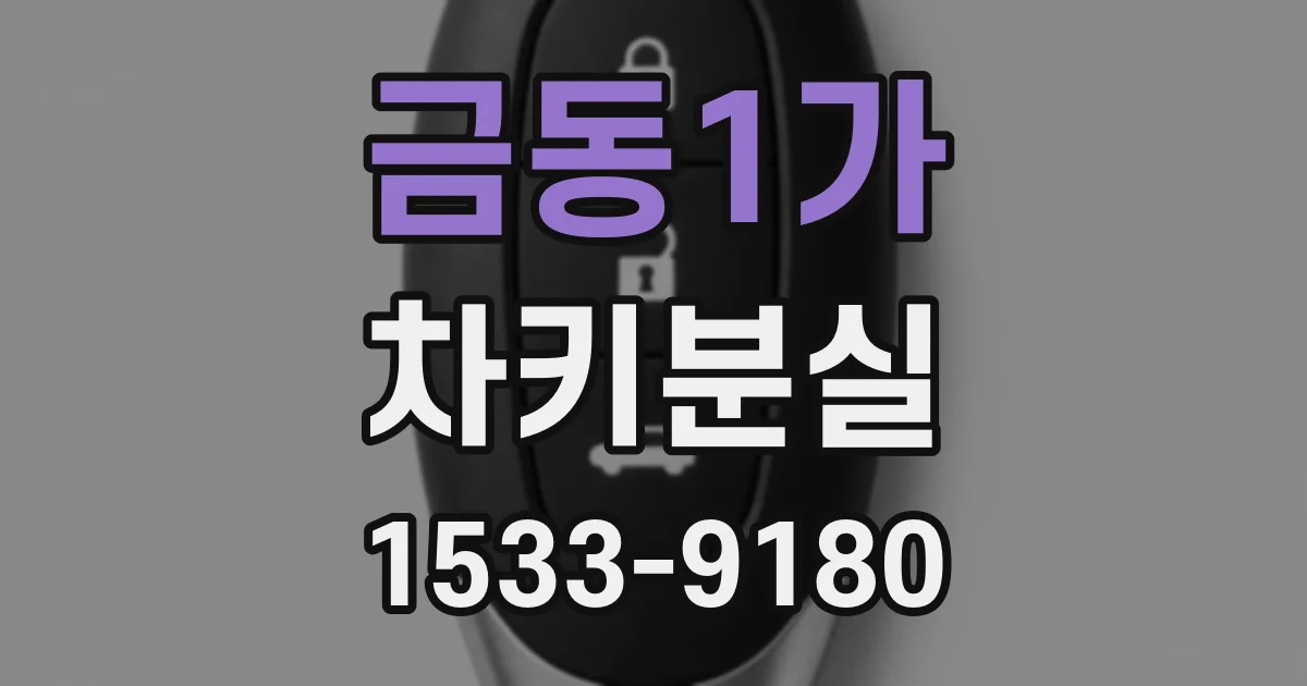 금동1가 차키분실
